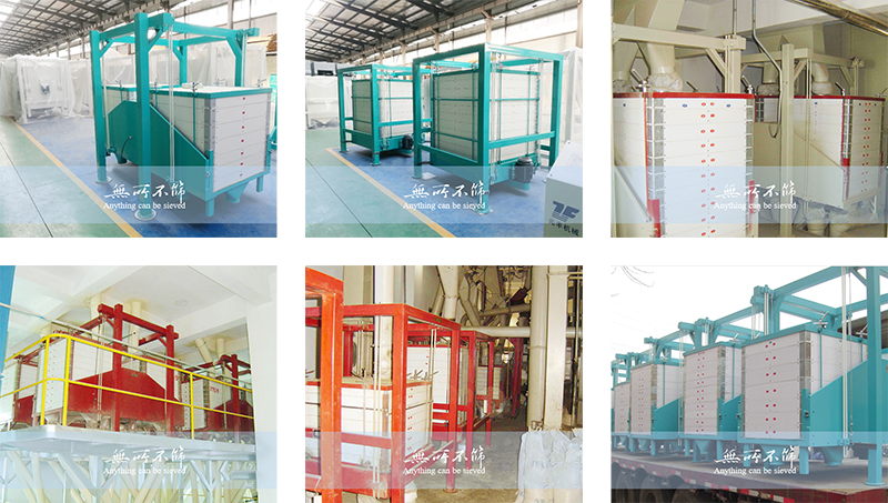 圖片4.png 圖片4.png