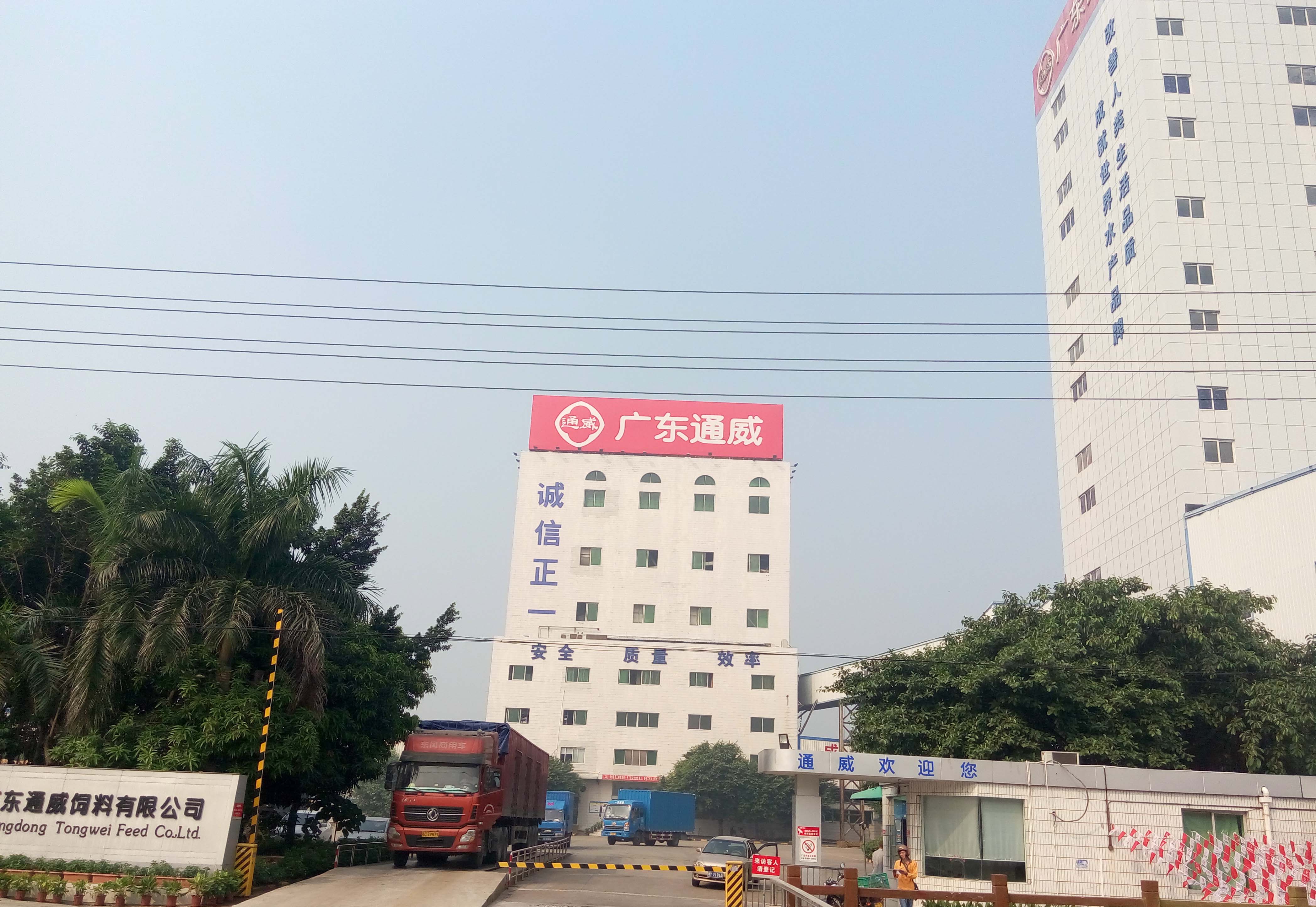 1廣東通威.jpg 1廣東通威.jpg